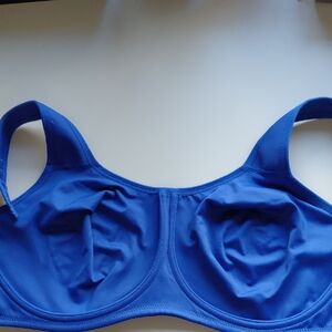 Wacoal Vibrant Blue Bra
